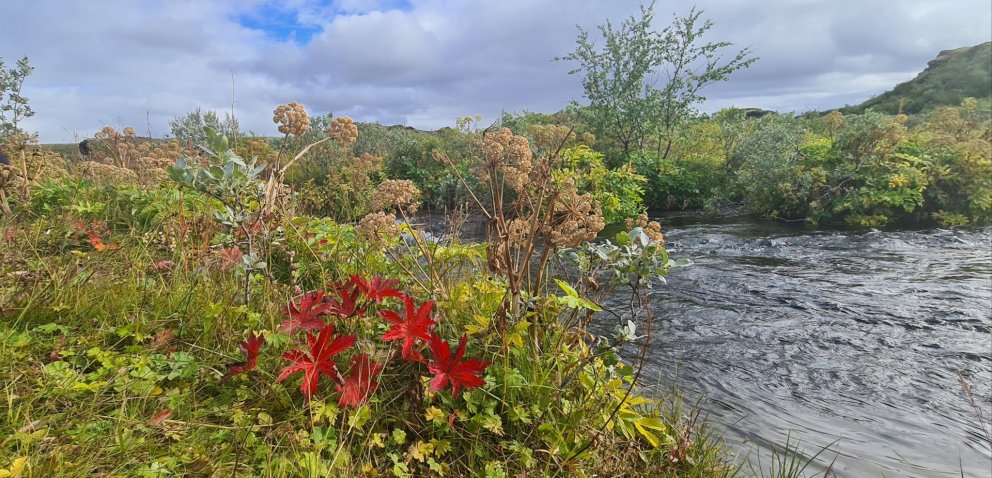 Dagsferðum sumarið 2020 lokið