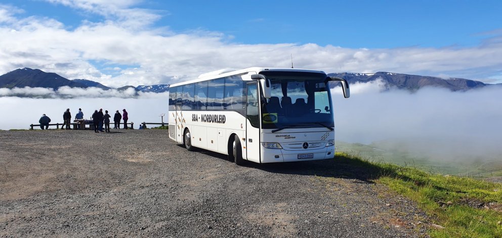 Bílstjórar og leiðsögumenn óskast til starfa.