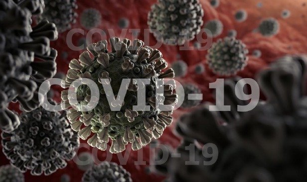 Dagsferð 15. ágúst frestað