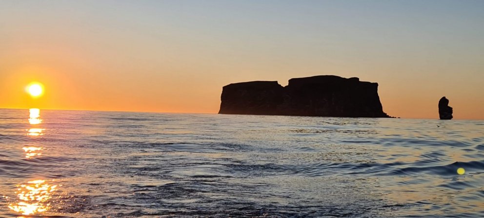 Kvöldsiglingar í Drangey