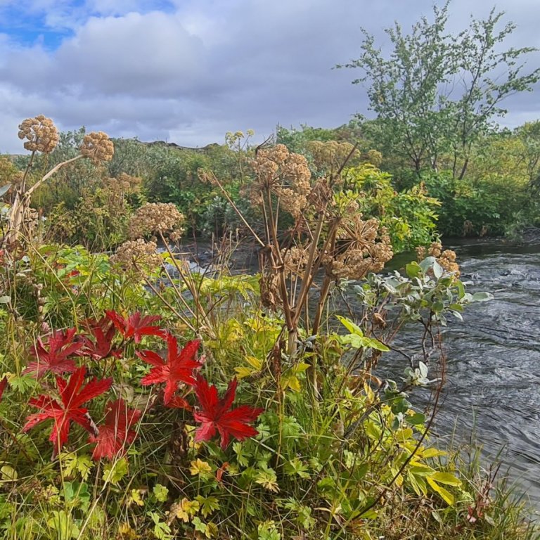 Dagsferðum sumarið 2020 lokið