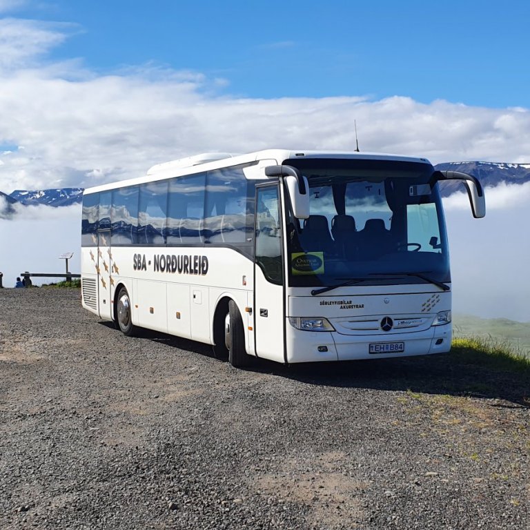 Bílstjórar og leiðsögumenn óskast til starfa.