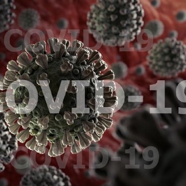 Dagsferð 15. ágúst frestað